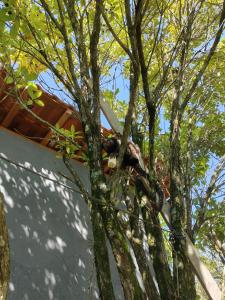 Chácara presente de Deus família vieira Portes