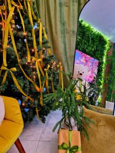 Penthouse Aeroport Iasi