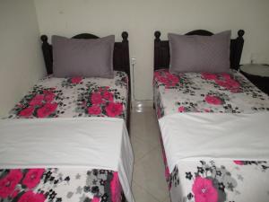 Joli spacieux apparrement