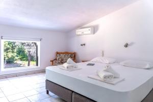 Villa Nikos Koukounaries