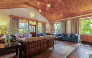 The Water Willow By Vanavya