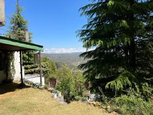 Dhyan Anand Homestay