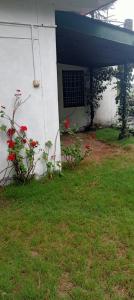 Dhyan Anand Homestay