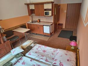 Pokoje Gościnne JANOSIK, Szczyrk