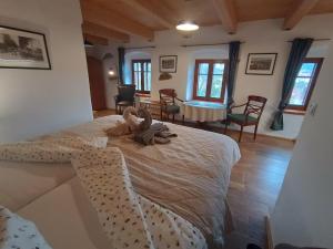 Pětidomí 88 - Rožmberská