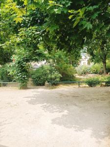 Appartement calme et cozy