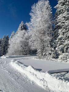 Rezidence Skalka - Apartmány & Wellness