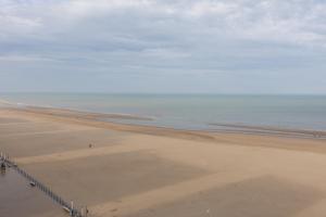 Atelier Breughel 133