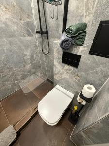 Apartament for Guest