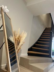 Maison du Bonheur, Mulhouse historic center