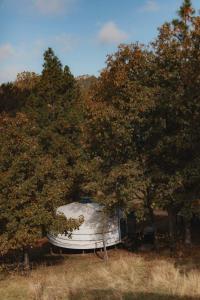 Cosy yurt at a nature retreat in Dunlap CA