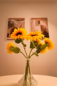 Hull Central Comfort