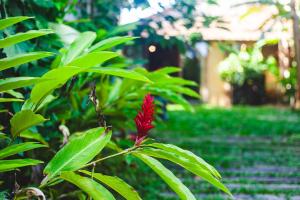 Ypê House - Morro da Luz