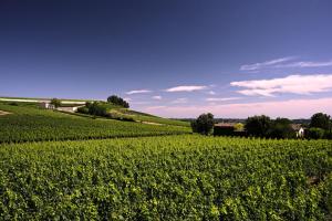Chambre dHotes La Roseraie