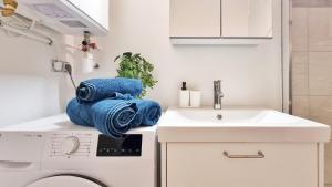 Les Bouleaux dAlsace - Parking