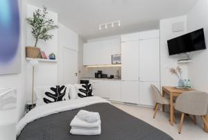 Cracow Novum Apartment #533 by BookingHost