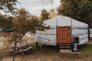 Glamping yurt at Sequoia Highland Camp