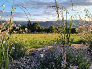 Pod Žítkovským vrchem