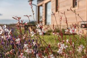 Pod Žítkovským vrchem