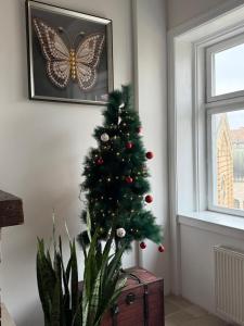 Charming Apartment by the Great Synagogue