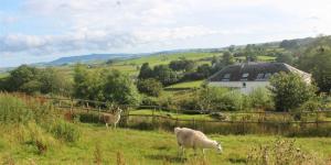 The Coach House at Durhamhill with llamas & games room mini cinema