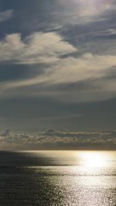 BLUVIA RESIDENCES-Spiral Apartment