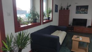 Woodpecker Backpacker Hostel