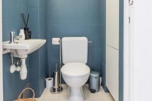 Dolphin Paradise 157