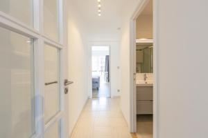 Dolphin Paradise 157