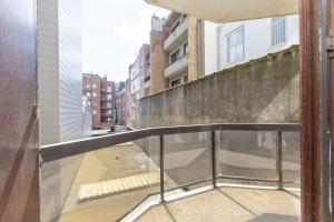 Dolphin Paradise 157