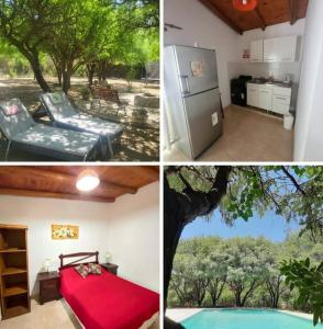 Cabañas en monte autóctono con pileta