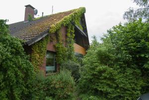 Ferienwohnung Suckert