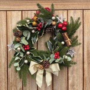 Hastings Casita, little house self contained garden lodge, close to town and seafront