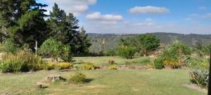 Wilderness Phoenix Rising