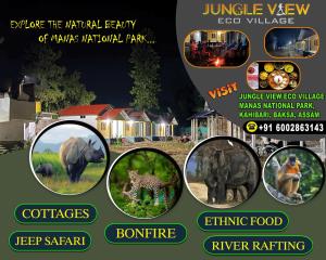 Jungle View Eco Village