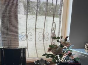 ANTALYA MERKEZ KALEİÇİ MUHTEŞEM bahçeli villa