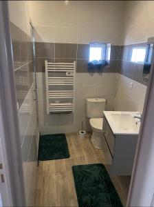 Appartement confortable Andrezieux Boutheon