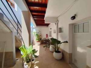 Monoambiente San Antonio Oeste