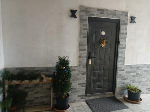 Дом Борисови