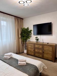 Ultracentral Piata Victoriei 19- City Center View