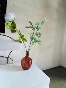 Craftmanship Apartment with WiFi Pool & Parking