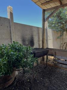 Cabaña AlbaMarina - Pichilemu