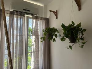 Ipanema and Arpoador