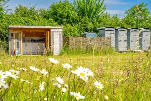 Daisy at Blancas Bell Tents