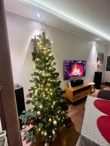 Agapella Apartamenty- Apartament Nadmorski with balcony, free parking