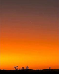 OctoCabana com mirante e vista infinita