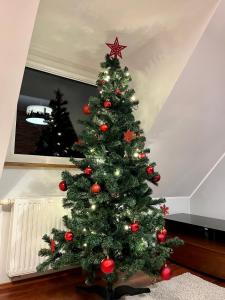 Agapella Apartamenty - Apartament Sopot Attic 550 m from the beach