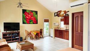 Ocean Dream Studios Cabarete