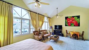 Ocean Dream Studios Cabarete