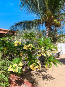 Casa Mari Suites